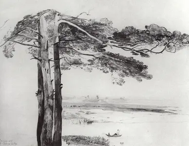Pine from Gusareva, Aleksey Savrasov, 1850